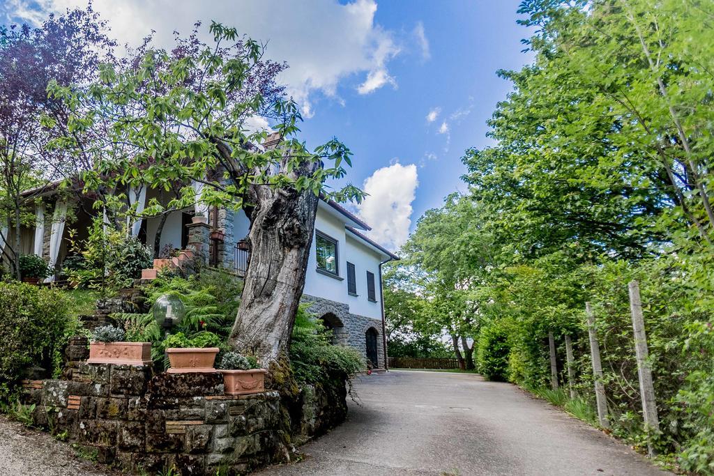 Bed and Breakfast Il Boschetto Di Castagni Сориано-нель-Чимино Экстерьер фото